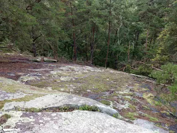 Marietta, SC 29661,00 River Road