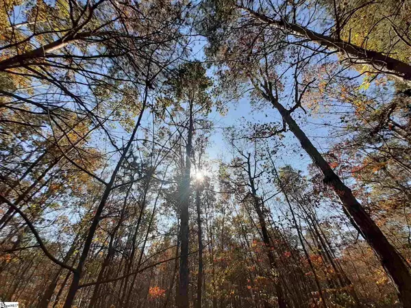 168 Gunter Road, Piedmont, SC 29673