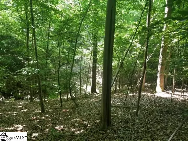 Ware Shoals, SC 29692,25 Business Highway