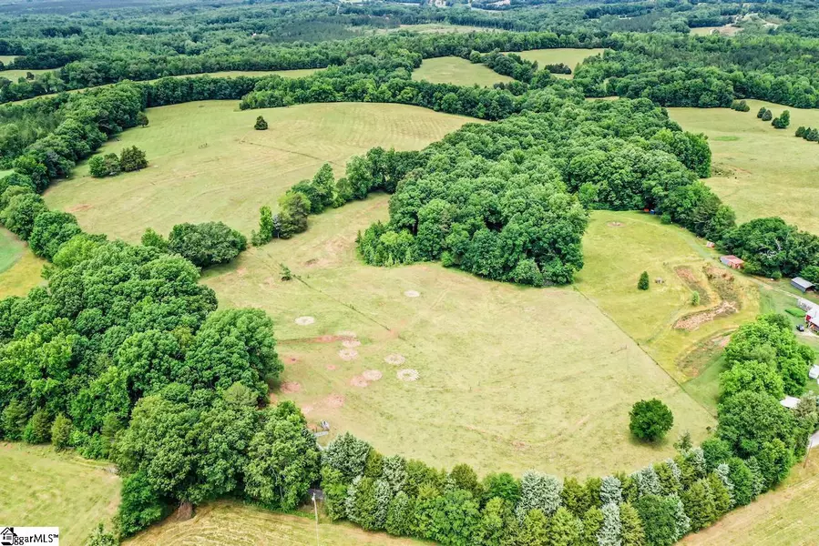 47 Bull Run Drive, Donalds, SC 29638