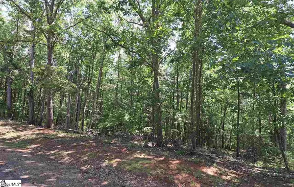 Townville, SC 29689,0000 Perry Circle