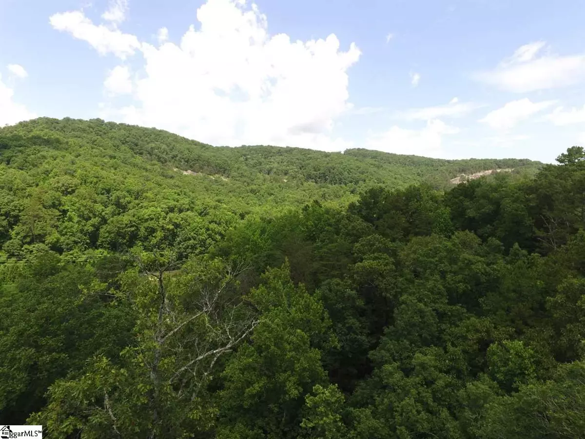 Marietta, SC 29661,170 Black Knight Trail