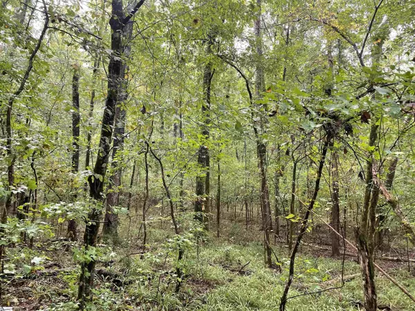 Ware Shoals, SC 29692,00 S Greenwood Highway