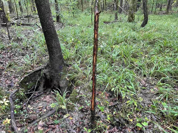 Ware Shoals, SC 29692,00 S Greenwood Highway