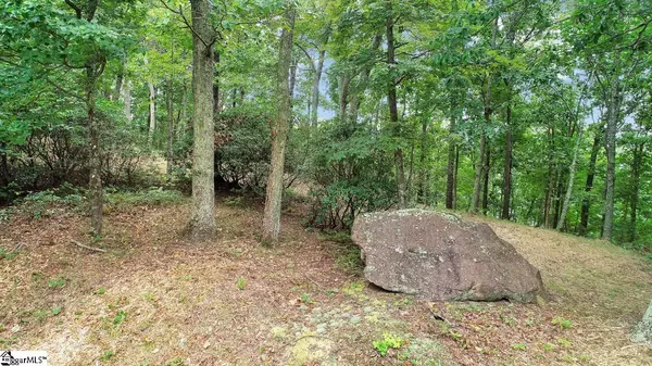Landrum, SC 29356,208 Eagle Rock Road