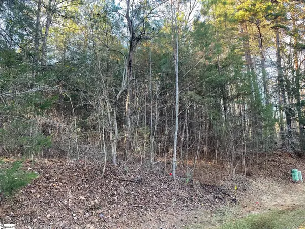 Fair Play, SC 29643,00 Parkview Drive