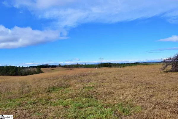 Rutherfordton, NC 28139,0 Pond View Lane