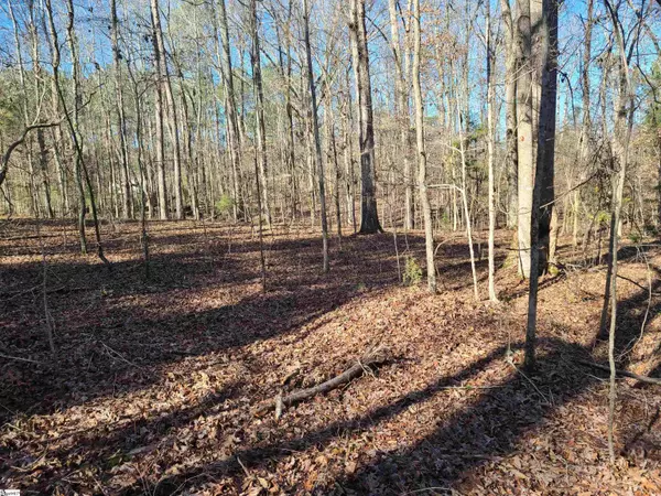 Hodges, SC 29653,922 Nation Road