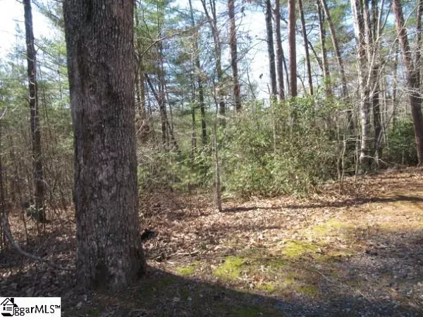 317 Whispering Falls Drive,  Pickens,  SC 29671