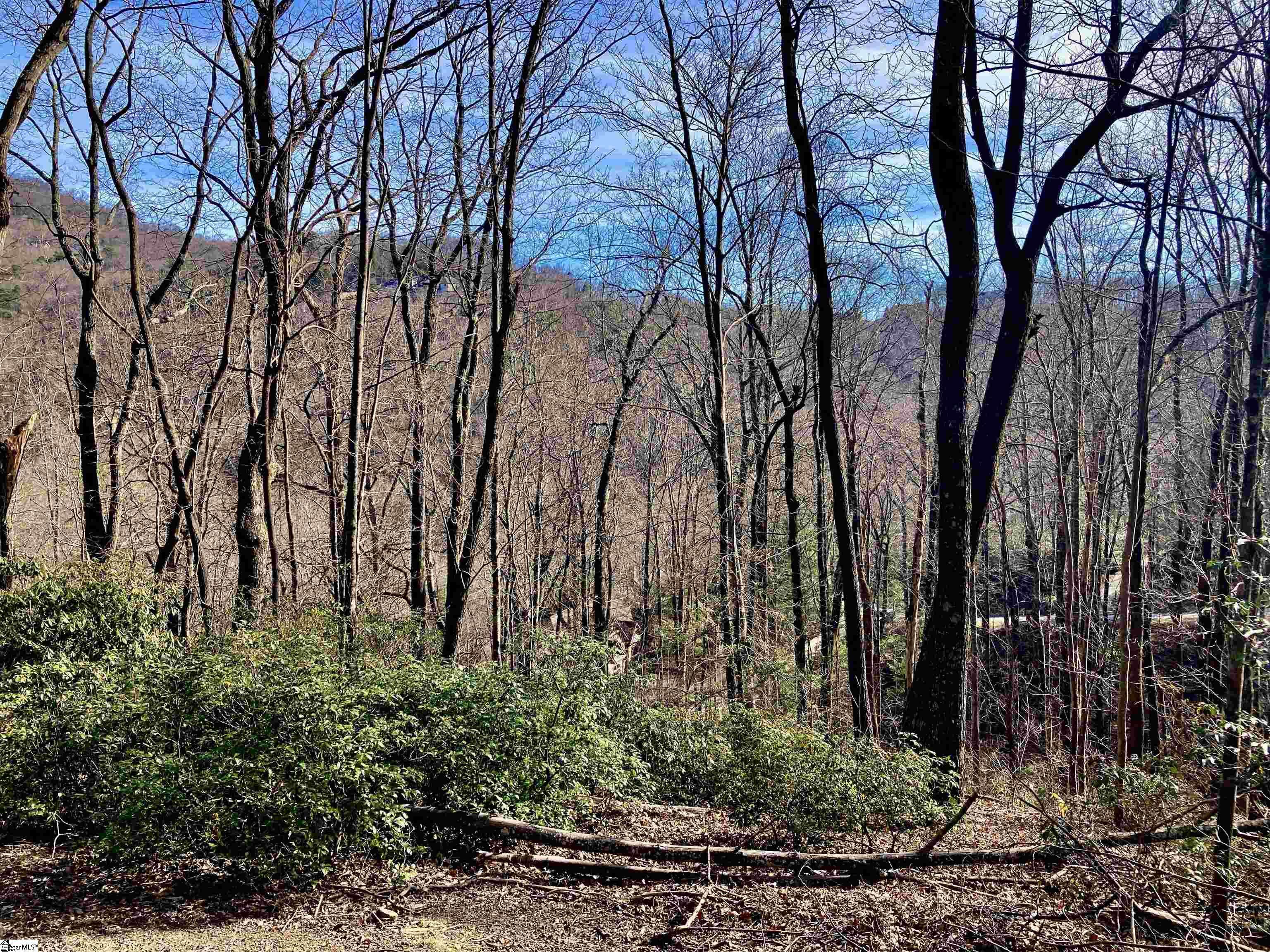 Travelers Rest, SC 29690,1328 Panther Park Trail