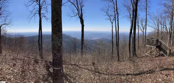 Zirconia, NC 28790,260 Bella Vista Court