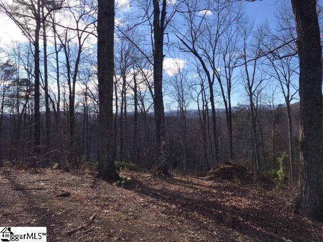 Travelers Rest, SC 29690,36 Terra Trace Way