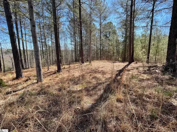 Six Mile, SC 29682,176 Creek Stone Court
