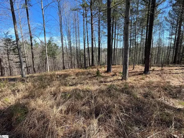 Six Mile, SC 29682,176 Creek Stone Court
