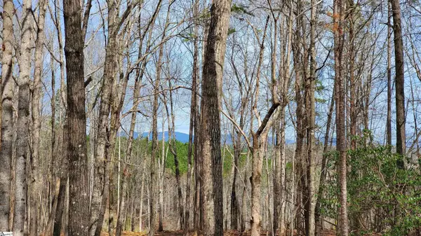 Salem, SC 29676,Cliff Shore Parkway