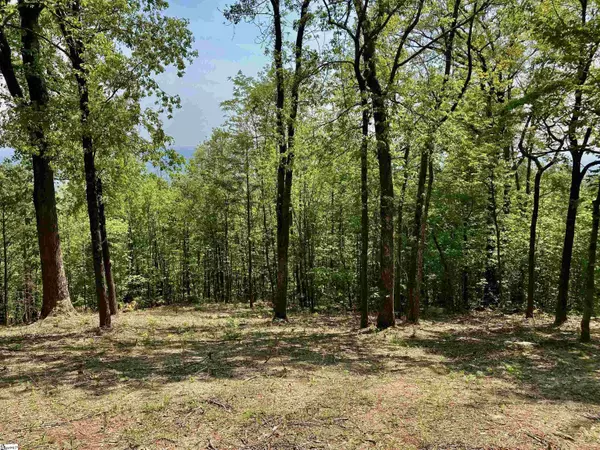Landrum, SC 29356,Ferncliff Lane
