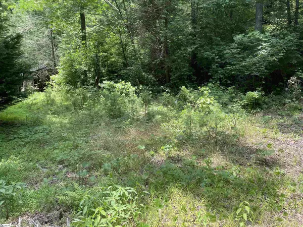 Marietta, SC 29661,24 Lucille Smith Road