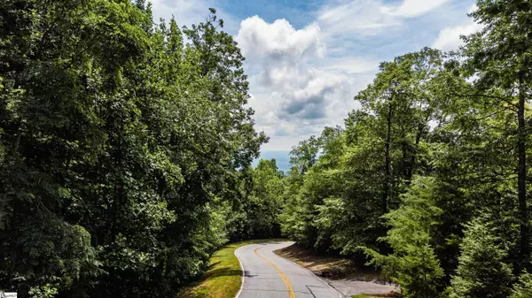 Landrum, SC 29356,00 Lost Trail Drive