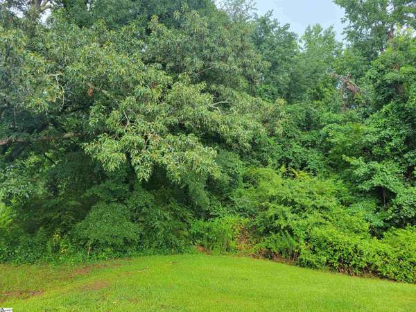 24160 Valley Creek Drive, Greer, SC 29651