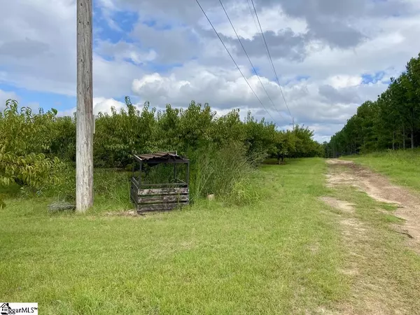 Trenton, SC 29847,Address not disclosed