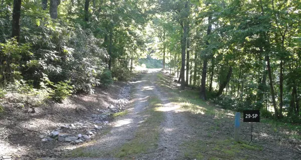 Landrum, SC 29356,28 Falling Star Way