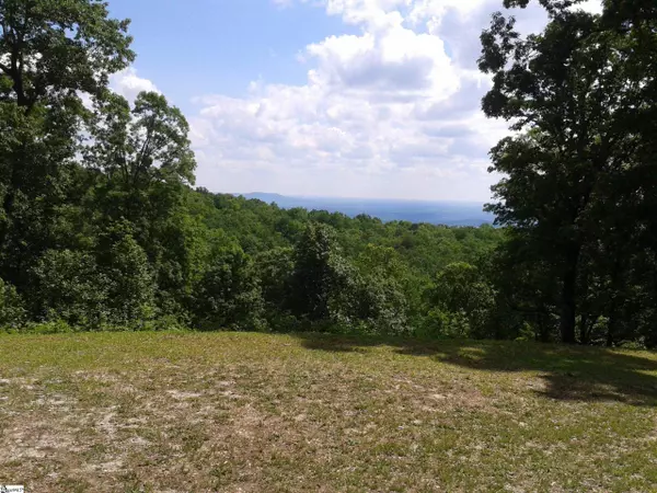 Landrum, SC 29356,28 Falling Star Way