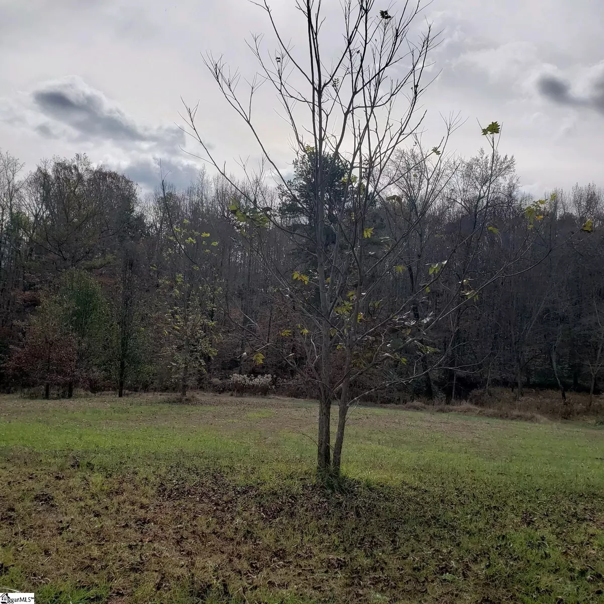 Central, SC 29630,21 Puckett Mill Way