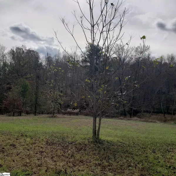 21 Puckett Mill Way, Central, SC 29630