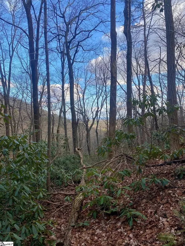 Landrum, SC 29356,0 Moonshine Falls Trail