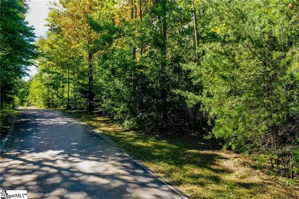 Landrum, SC 29356,251 Snap Dragon Way