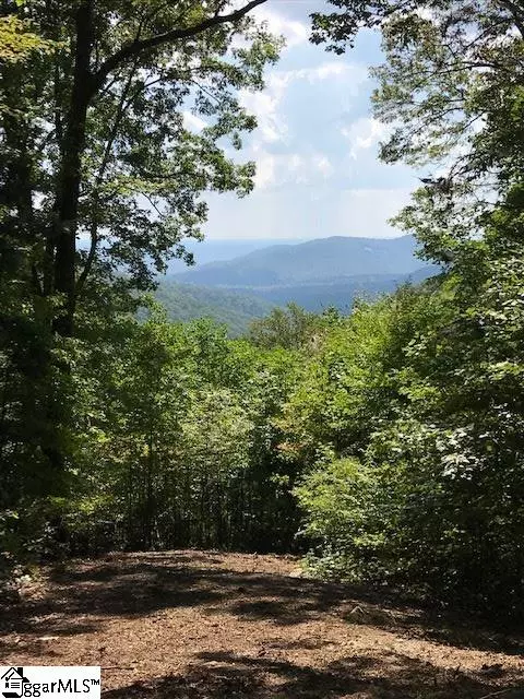 Travelers Rest, SC 29690,1335 Panther Park Trail