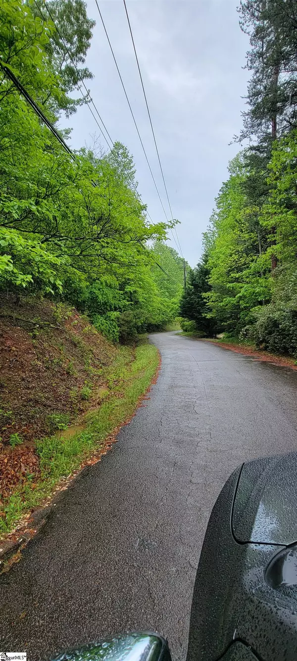 Landrum, SC 29356,000 Glendlyon Circle