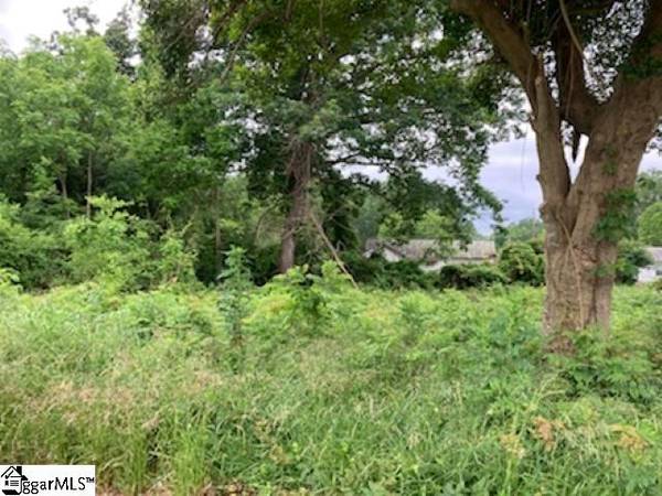 Watts Avenue, Laurens, SC 29360-2026