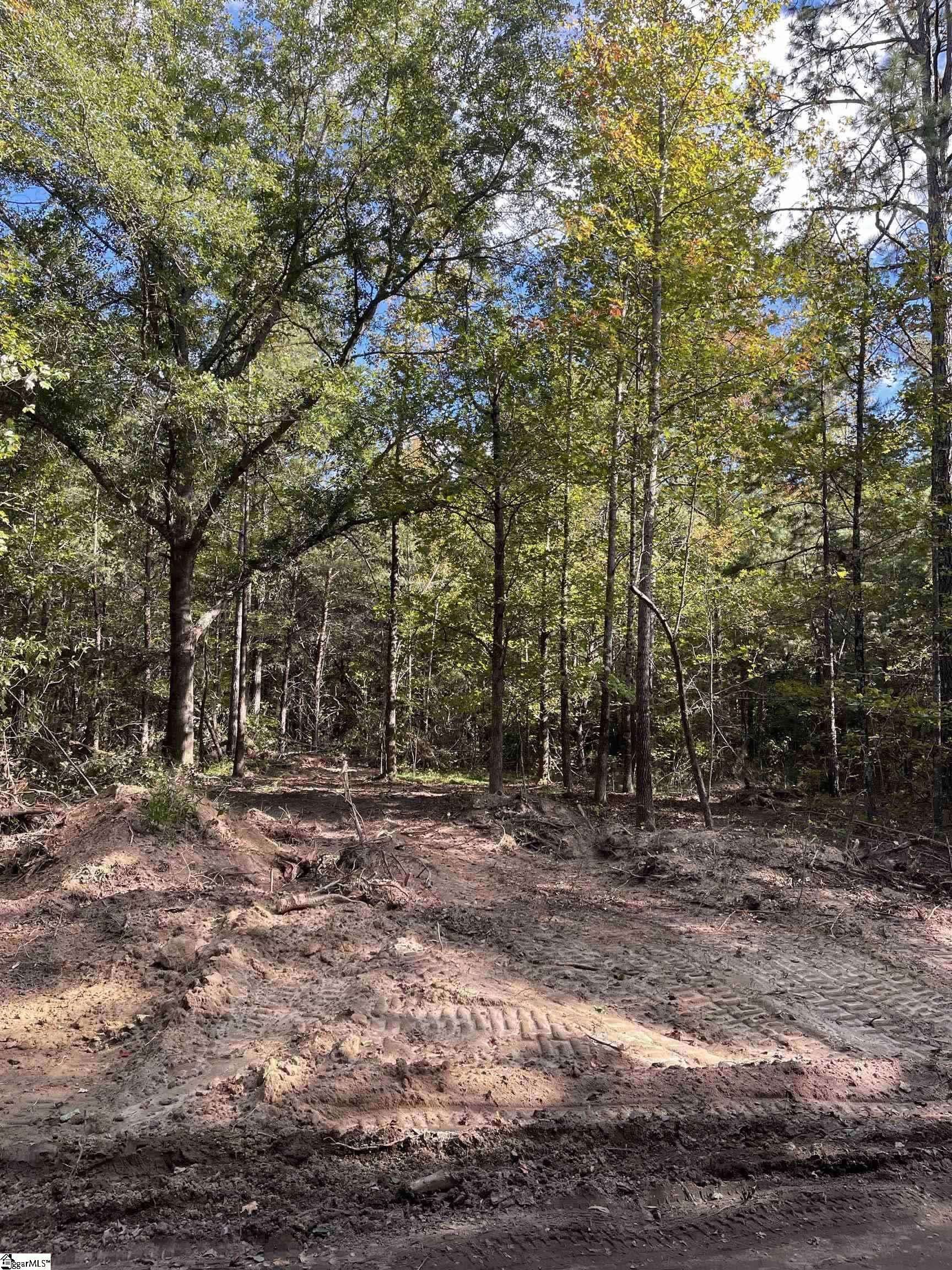 Inman, SC 29349,0 Dowler Drive