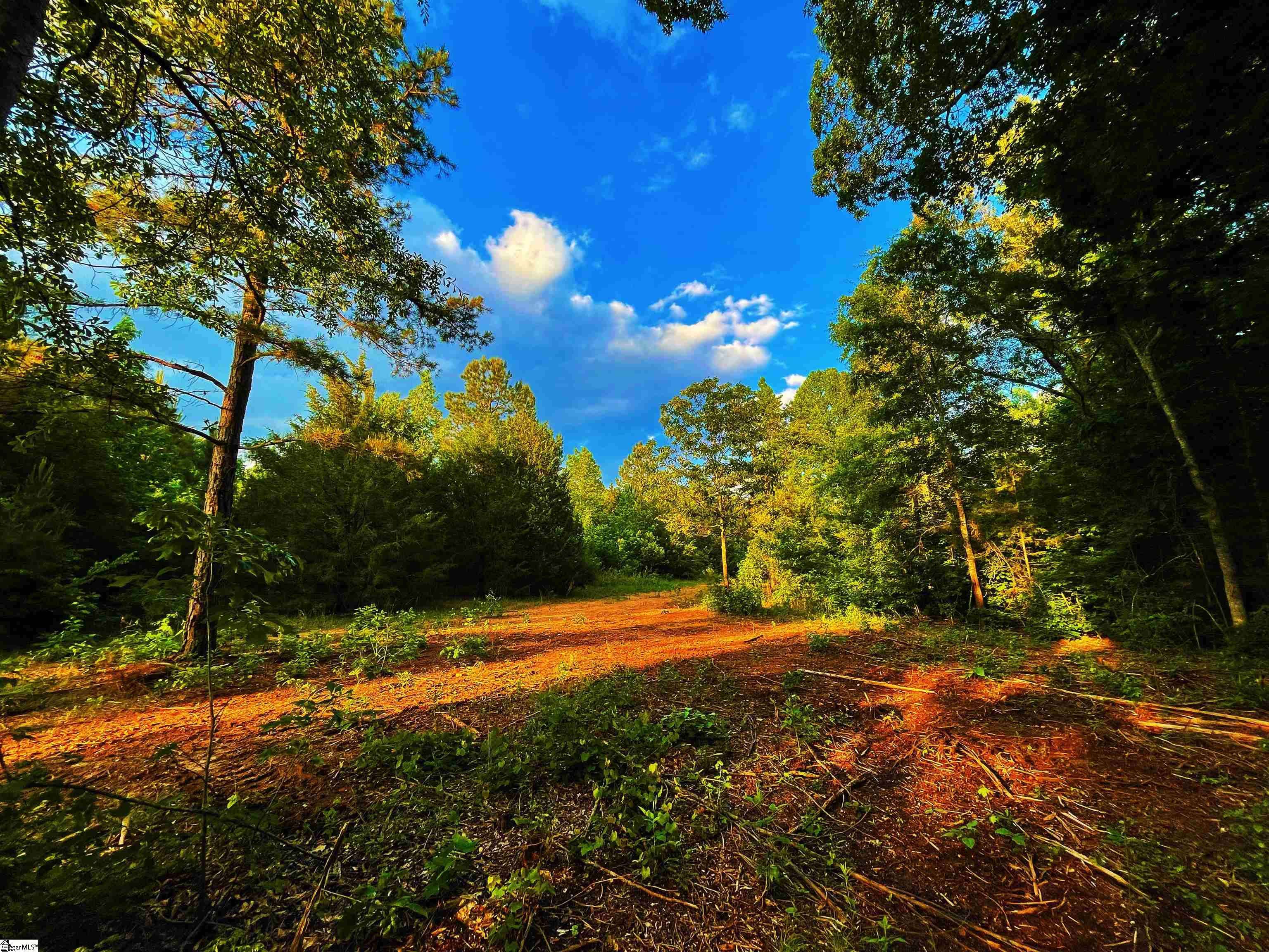 Gray Court, SC 29645,00 Mordeci Mountain Road