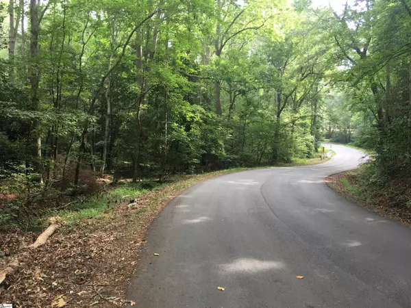 Pelzer, SC 29669,0 CHAPMAN Road
