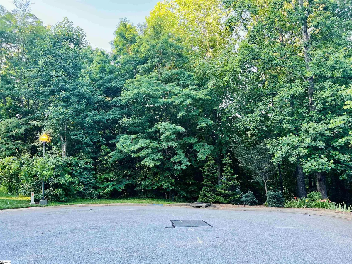 Travelers Rest, SC 29690,20 Savage Court