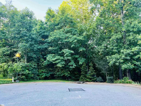 20 Savage Court,  Travelers Rest,  SC 29690