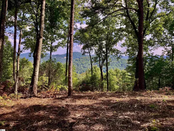 Travelers Rest, SC 29690,47 Mountain Oak Lane