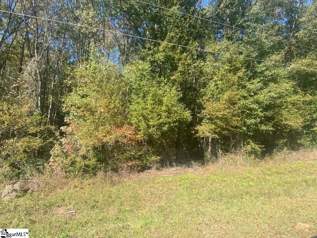 Ware Shoals, SC 29692,00 Green Acres Boulevard