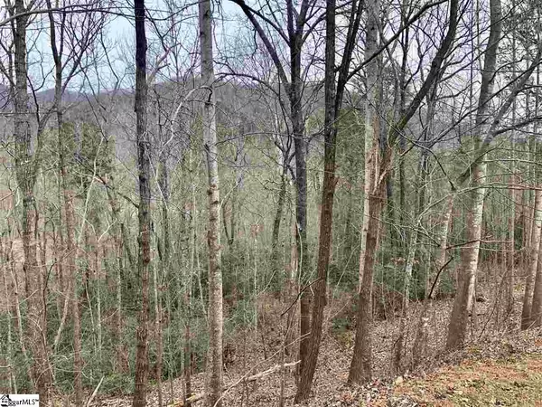 Travelers Rest, SC 29690,305 Sedgewick Road