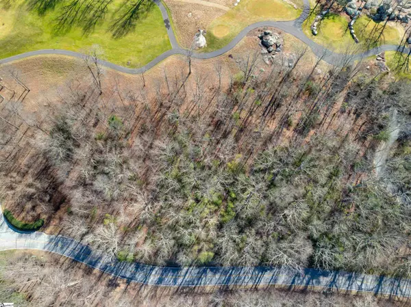 Landrum, SC 29356,Glassy Ridge Road