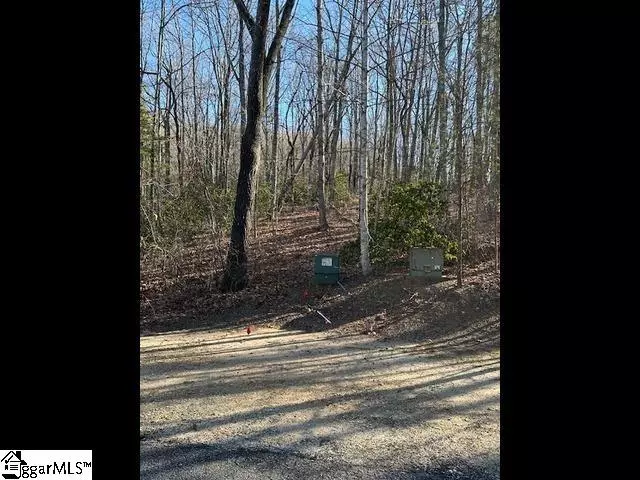 Travelers Rest, SC 29690,23 Alsace Way