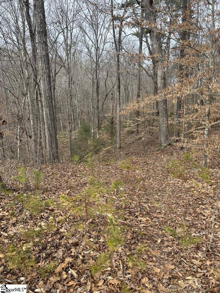 Easley, SC 29640,355 Raines Road