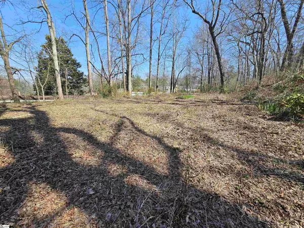 Landrum, SC 29356,232 N Valley Road