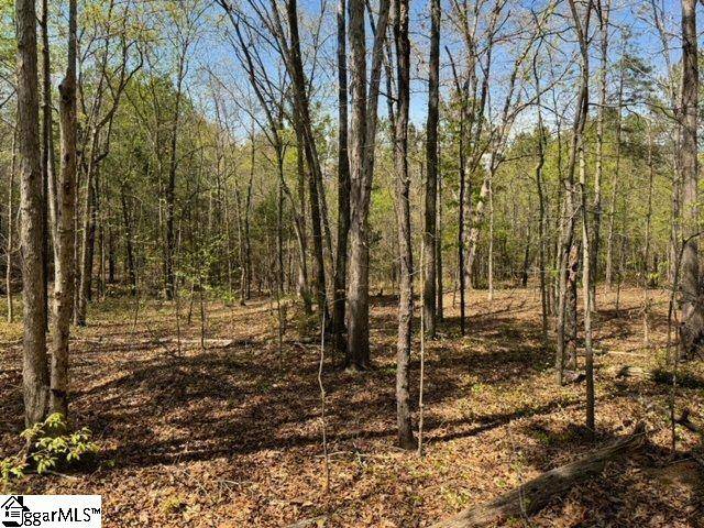 Laurens, SC 29360,Oak Terrace Way