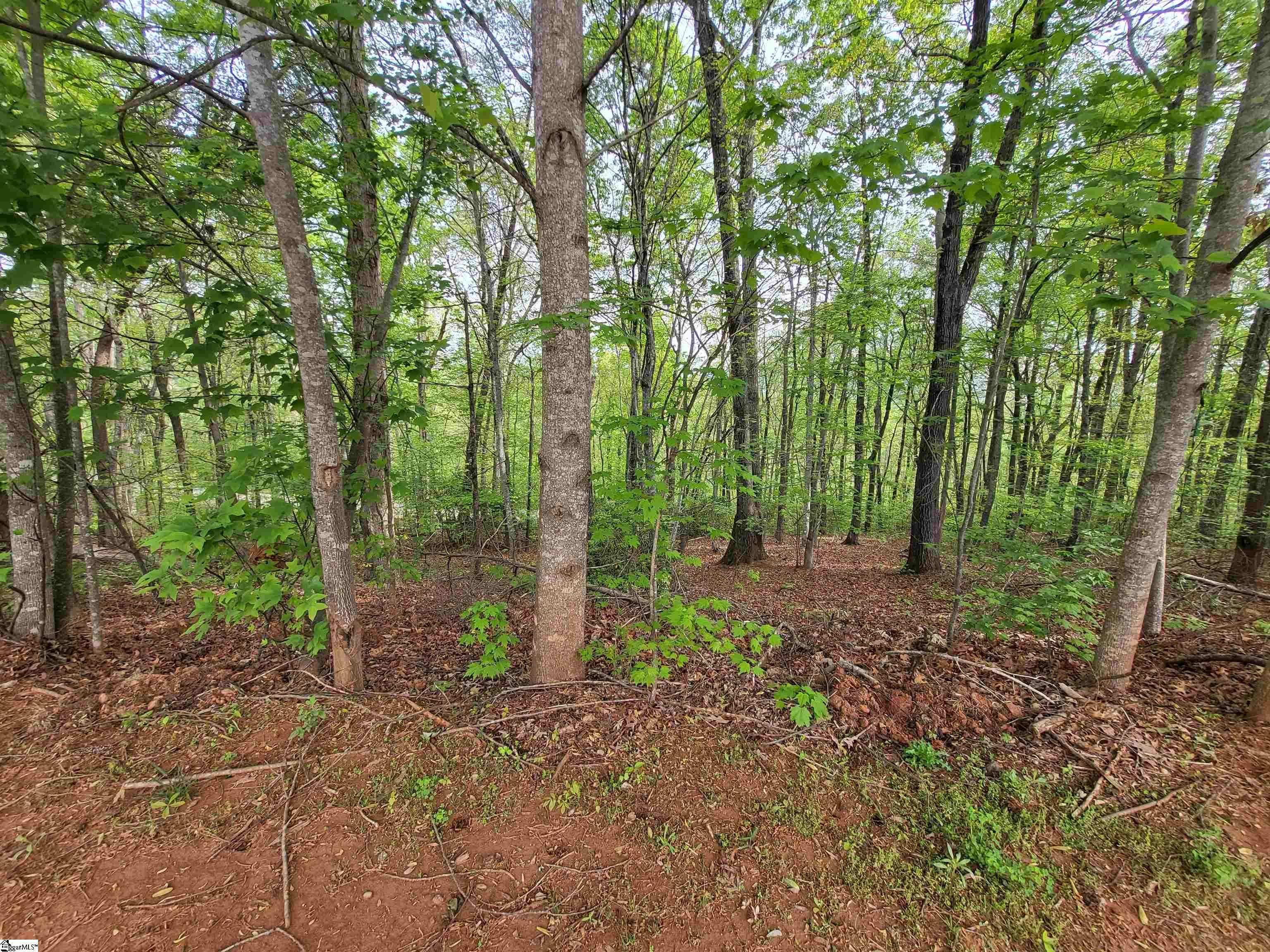 Travelers Rest, SC 29690,300 Laurel Valley Way
