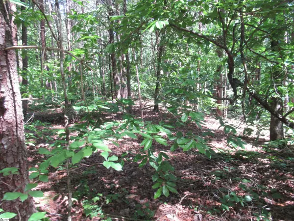 Cleveland, SC 29635,221 River Bluff Road