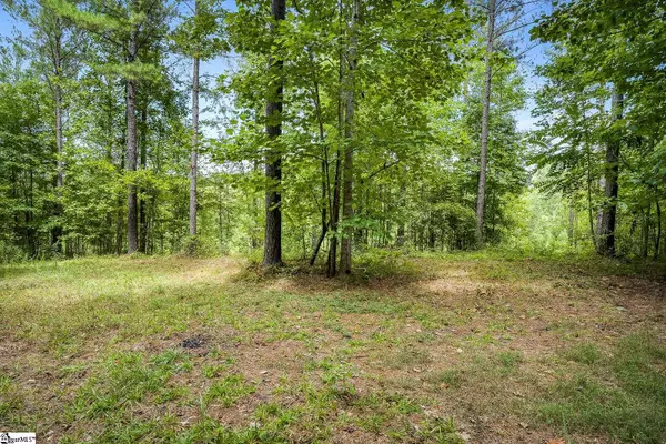 0 Cooley Bridge Road, Belton, SC 29627