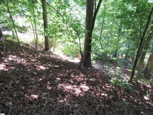Pickens, SC 29671,808 Whispering Falls Drive